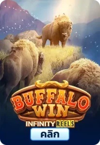 Buffalo Win