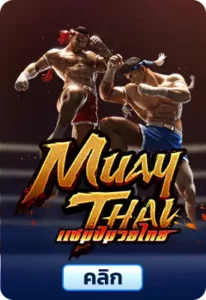 Muay Thai Champion