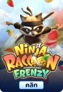 Ninja raccoon frenzy