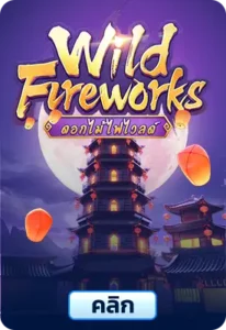 Wild Fireworks