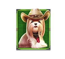 slot pp เกมใหม่ บ้านสุนัขไม่มีสุนัขตัวใดถูกทิ้งไว้ข้างหลัง
