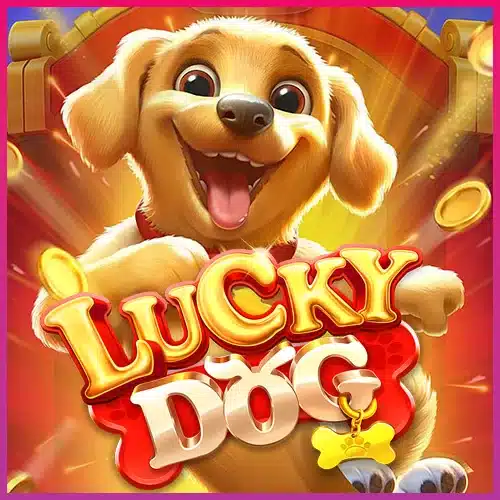 Lucky Dog สุนัขนำโชค