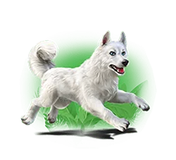 ทดลองเล่นเทพธิดาภูเขาไฟ