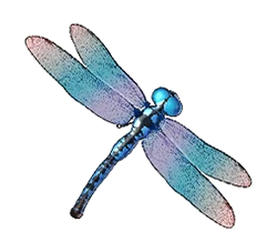 ทดลองเล่นBig Bass Bonanza 1000